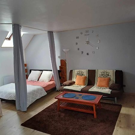 Appartement Independant Proche Paris, Roissy Cdg, Asterix, Disneyland มิทรี-มอรีย์ ภายนอก รูปภาพ